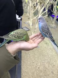 -未来动物城主题公园(正弘城店)