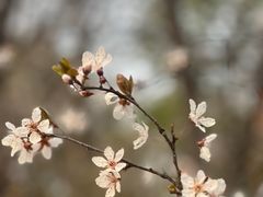 -洋湖国家湿地公园