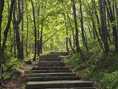 -洛阳白云山景区