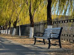 -永定河休闲森林公园