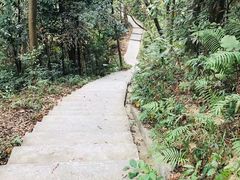-广州市帽峰山景区