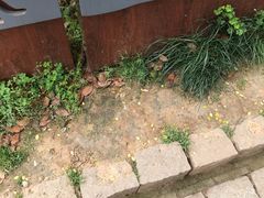 -雨花胜境