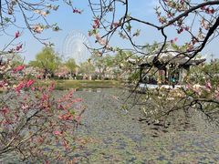 -无锡蠡湖国家湿地公园-蠡园