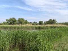 -大兴滨河森林公园