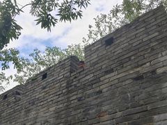 -台州府城(江南长城)