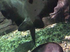 -苏州海洋馆