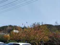 -童心园麦窑·儿童拓展探宝乐园
