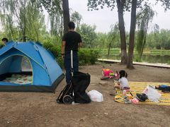 -东郊湿地公园