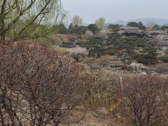 -北京西山国家森林公园