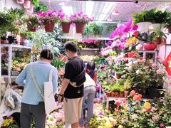 -三旗百汇商品城