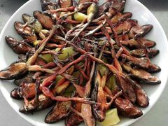 -庆岭迎宾园正宗活鱼馆