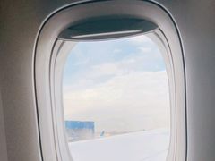 -约翰·菲茨杰拉德·肯尼迪国际机场