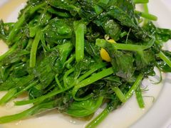 银杏豌豆尖-眉州东坡·熊猫主题餐厅(枫蓝店)