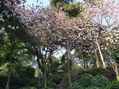 -重庆工商大学(南岸校区)