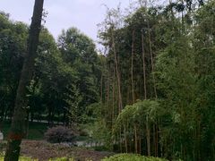 -唐城墙遗址公园
