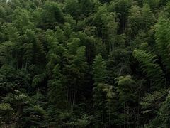 -将军关探险漂流