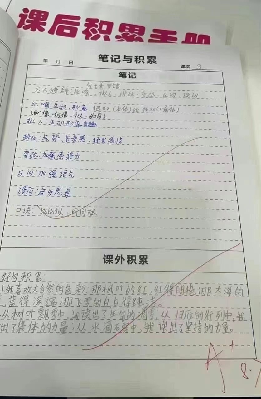 优秀数学错题本图片图片