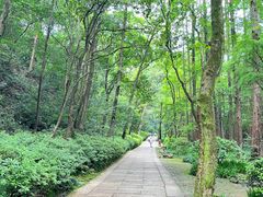 -虎跑公园
