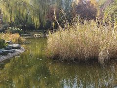 -木塔寺遗址生态公园