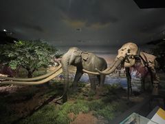 -湖南省地质博物馆