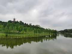 -东莞植物园