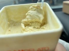 -野人先生现做冰淇淋(北京环宇荟店)