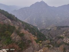 -遵化市禅林寺古银杏风景园