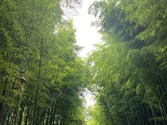 -苏州环秀晓筑养生度假村