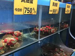 水产区-三辣馆