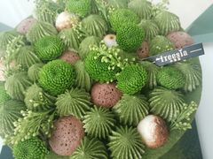 -小苍兰风铃草蛋糕甜品(沈阳店)