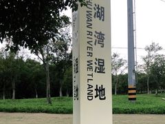 -贡湖湾湿地公园