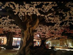 -蓝鲸湾汤泉(包河店)