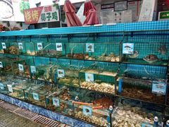 -范饭椰林川湘味海鲜·椰子鸡(三亚湾椰梦长廊店)