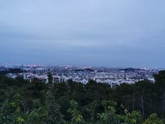 -仙岳公园