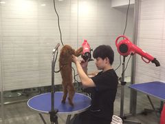 -PETKIT小佩宠物(古北店)