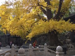 -晋祠公园