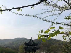 -龙寺生态园