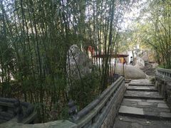 -老张烤羊(王哥庄店)