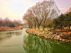 -大兴滨河森林公园