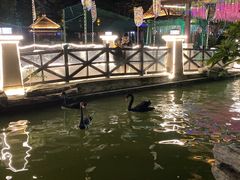 -灵玲国际马戏城