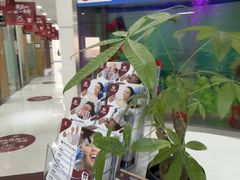 -雅悦齿科(顾村公园店)