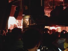 -坚果NUTS