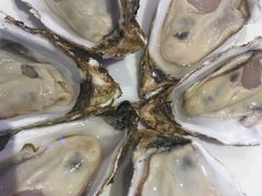 -千岛蚝高压锅生蚝·人参火锅(白云万达店)