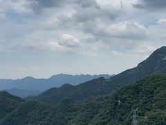-六里坪国家森林公园