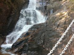 -九龙江国家森林公园