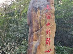 -马峦山郊野公园