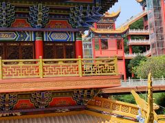 -东莞市大岭山森林公园