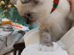 -觅时光手作·香薰·拼豆豆·陶艺DIY