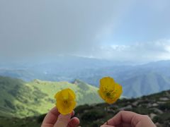 -灵山