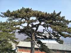 -妙峰山风景名胜区